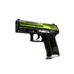 StatTrak™ P2000 | Turf (Well-Worn)