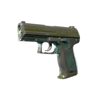 P2000 Marsh
