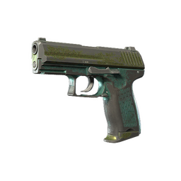 P2000 | Marsh (Battle-Scarred)