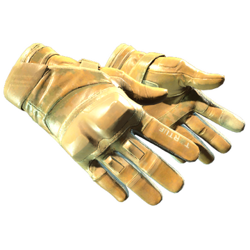 Moto Gloves | Transport image 360x360