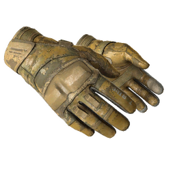 ★ Moto Gloves | Transport (Battle-Scarred)