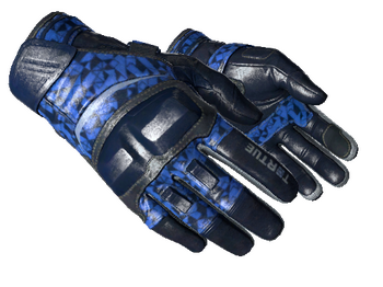 ★ Moto Gloves | Polygon