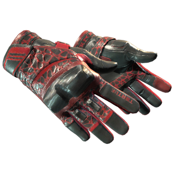 Moto Gloves | Blood Pressure image 360x360