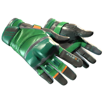 Moto Gloves | Turtle image 360x360