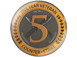 5 Year Veteran Coin