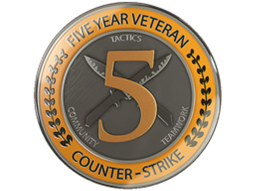 5 Year Veteran Coin