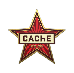 Cache Pin