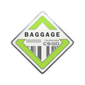 Baggage Pin image 120x120