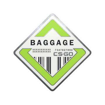 Baggage Pin image 360x360