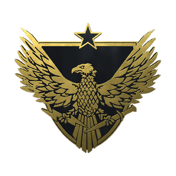 Brigadier General Pin image 360x360