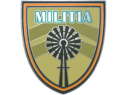 Genuine Militia Pin