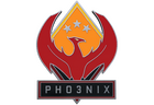 Phoenix Pin