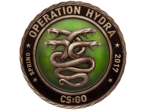 Operation Hydra Challenge Coin