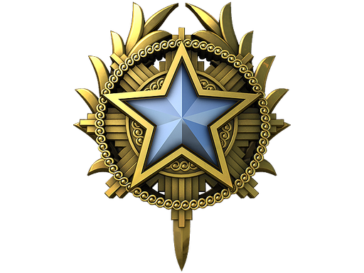 2020 Service Medal