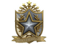 2022 Service Medal