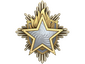 2023 Service Medal