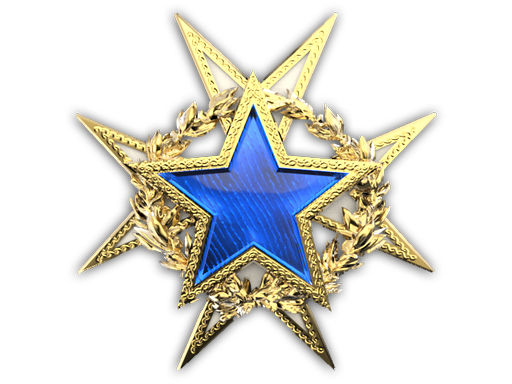 2015 Service Medal