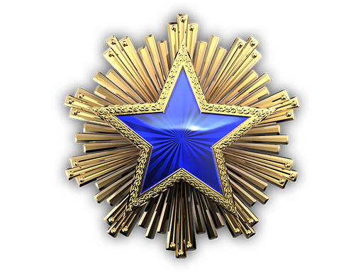 2016 Service Medal