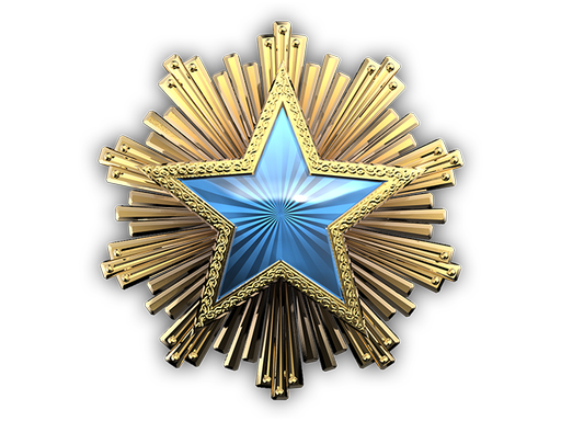 2016 Service Medal