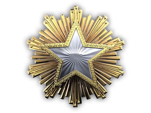 2016 Service Medal