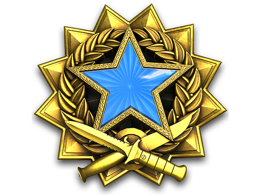 2017 Service Medal