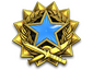 2017 Service Medal