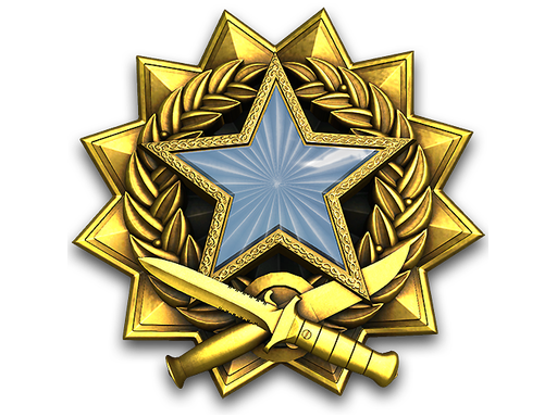 2017 Service Medal