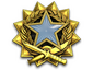 2017 Service Medal