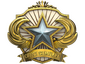 2018 Service Medal