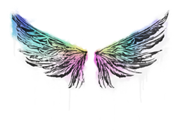 Graffiti | Wings