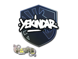 印花 | YEKINDAR | 2023年巴黎锦标赛