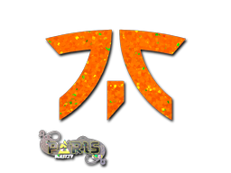 印花 | Fnatic（闪耀）| 2023年巴黎锦标赛