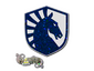 Sticker | Team Liquid (Glitter) | Paris 2023