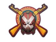 Master Guardian Elite