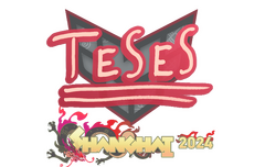 Sticker | TeSeS | Shanghai 2024