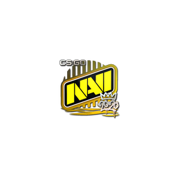 Sticker | Natus Vincere | 2020 RMR