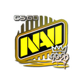 Sticker | Natus Vincere | 2020 RMR image 120x120