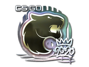 FURIA  | 2020 RMR
