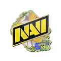 Sticker | Natus Vincere (Holo) | Rio 2022 image 120x120