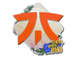 貼紙 | Fnatic | Rio 2022