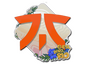 Sticker | Fnatic | Rio 2022