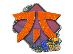 Autocolante | Fnatic (Glitter) | Rio 2022