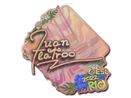 Sticker | juanflatroo (Holo) | Rio 2022