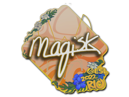 สติกเกอร์ | Magisk | Rio 2022