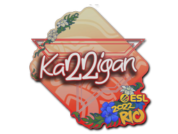 Sticker | karrigan | Rio 2022
