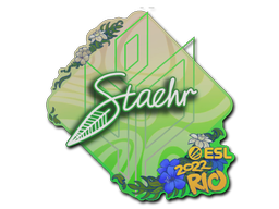 Adesivo | Staehr | Rio 2022