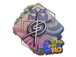 Samolepka | degster | IEM Rio 2022