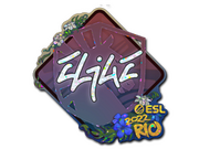 EliGE  | Rio 2022