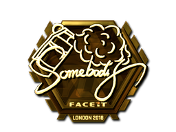Aufkleber | somebody (Gold) | London 2018