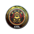 Sticker | ENCE (Foil) | Katowice 2019 image 120x120